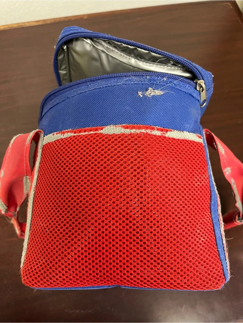 Vintage Blue & Red Lunch Cooler – Retro 90s Style